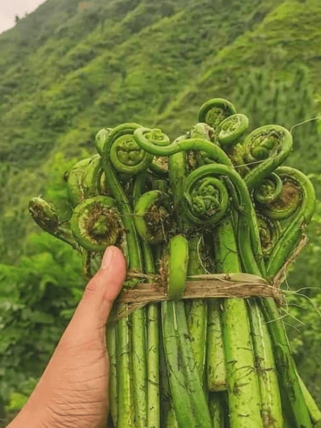 cropped-image-121.png