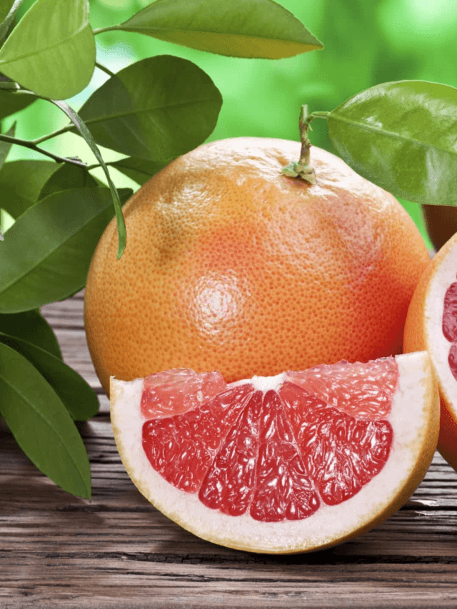 cropped-image-322.png