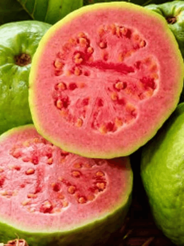 cropped-image-80.png