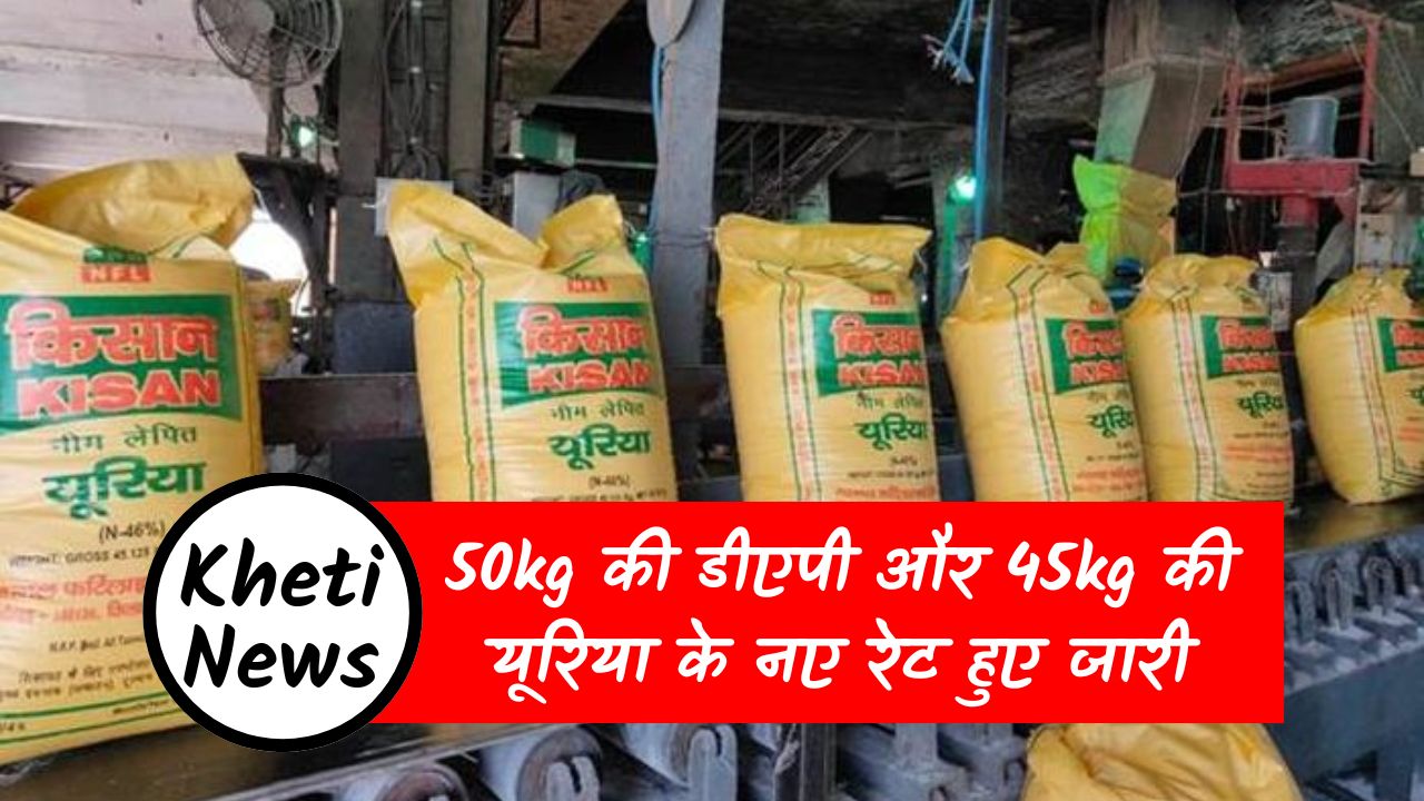 DAP and Urea Price: 50kg की डीएपी और 45kg की यूरिया के नए रेट हुए जारी, यहाँ देखे नई रेट लिस्ट