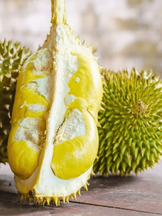 cropped-image-13.png