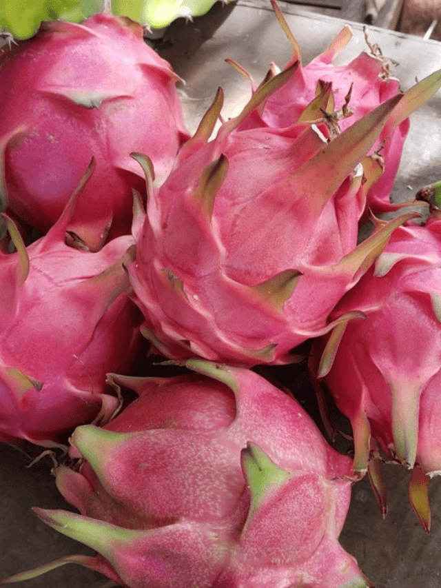 cropped-image-149.png