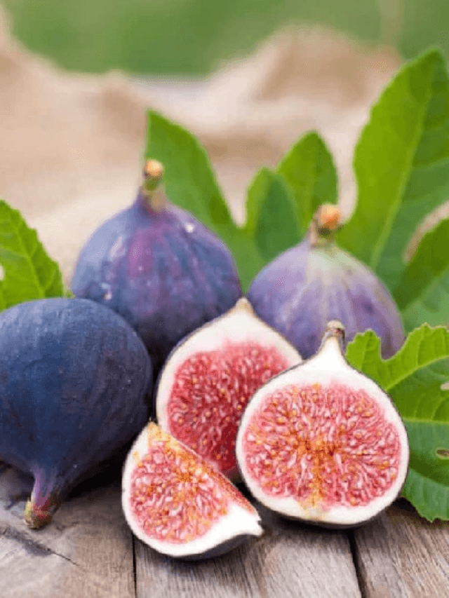 cropped-image-177.png