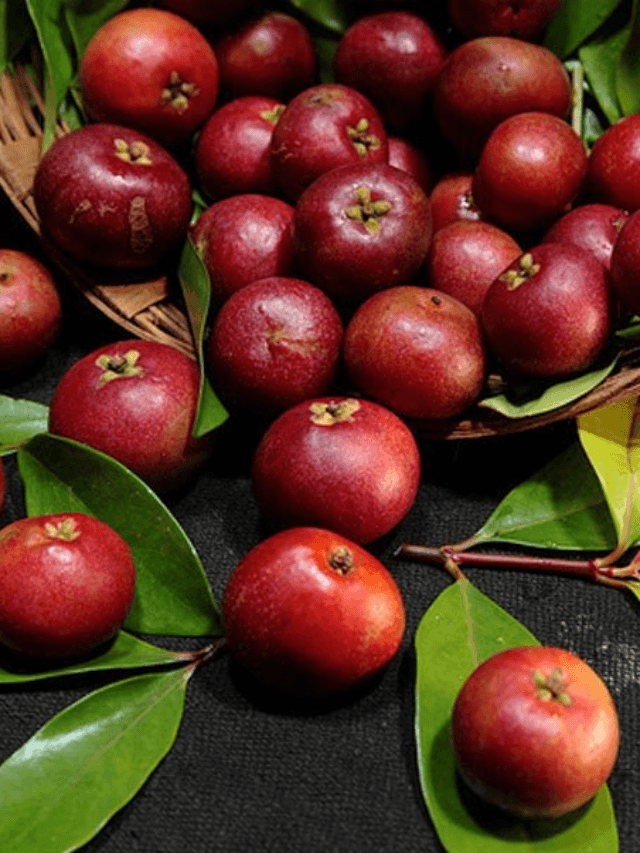 cropped-image-184.png