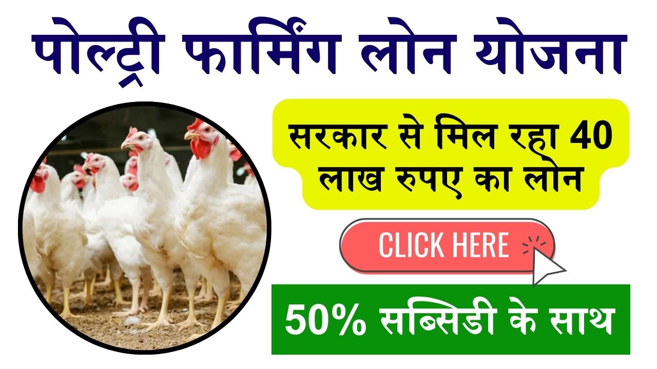 Poultry Farming Loan: मुर्गी पालन के लिए सरकार से मिल रहा 40 लाख रुपए का लोन, ऐसे मिलेगा लोन